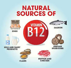 Natural Sources of Vitamin B12